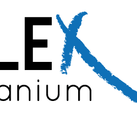 Lunettes Titanium Flex